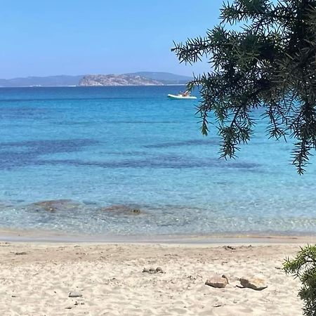 Surf House Mirice Apartment Vignola Mare Екстериор снимка